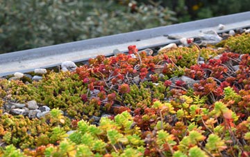 the cost of Lumley green roof installation
