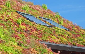 Lumley living roof systems