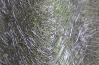 Lumley fibreglass roof work