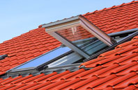 Lumley roof window
